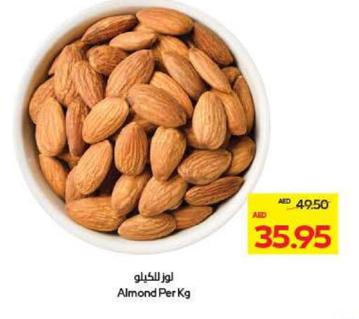 available at أدكووب in الإمارات العربية المتحدة , الامارات - ٱلْعَيْن‎