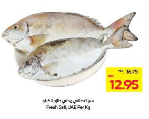 available at ميغا مارت سوبر ماركت in الإمارات العربية المتحدة , الامارات - ٱلْعَيْن‎