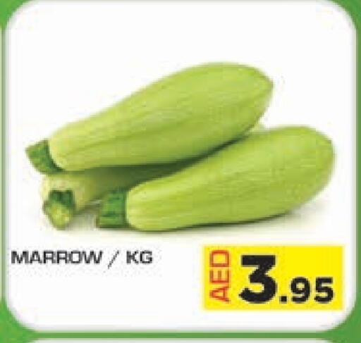 Fresh Vegetables in Baniyas Spike , UAE Offers - United Arab Emirates Marrow available at Baniyas Spike in UAE - Umm al Quwain