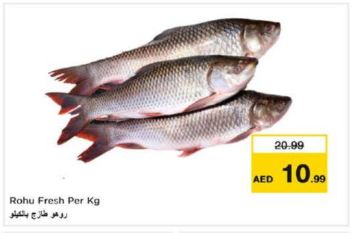الأسماك الطازجة in نستو هايبرماركت, UAE Offers - الإمارات العربية المتحدة available at نستو هايبرماركت in الإمارات العربية المتحدة , الامارات - دبي