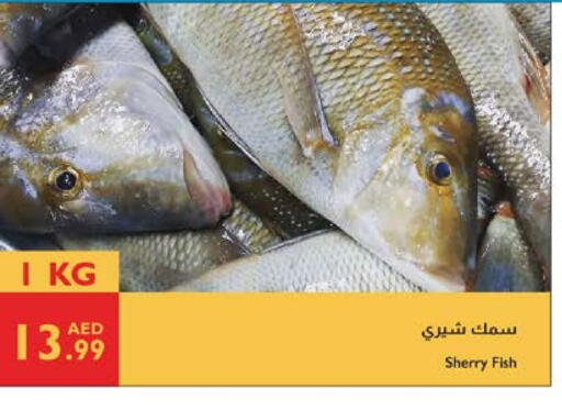 available at Istanbul Supermarket in UAE - Abu Dhabi