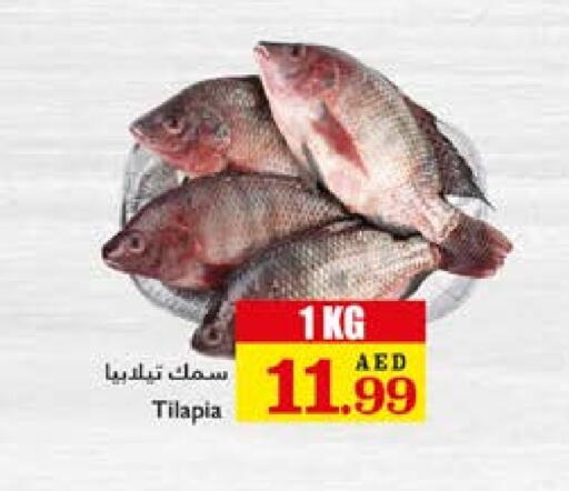 available at تروليز سوبرماركت in الإمارات العربية المتحدة , الامارات - دبي