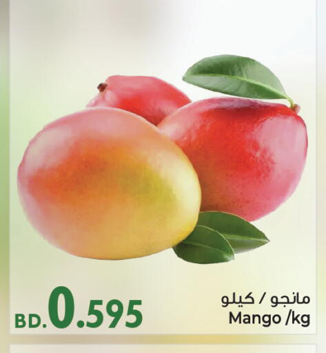 Mangoes from Bahrain available at Bahrain Pride in Bahrain