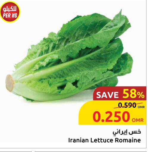 Lettuce from Iran available at Sultan Center  in Oman - Sohar