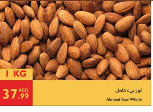 available at Istanbul Supermarket in UAE - Sharjah / Ajman