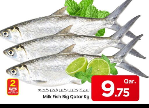 available at Mark & Save  in Qatar - Al Rayyan