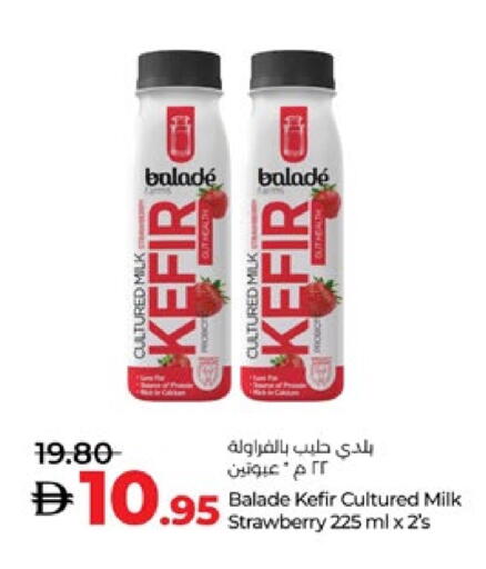 Flavoured Milk available at Lulu Hypermarket in UAE - Al Ain