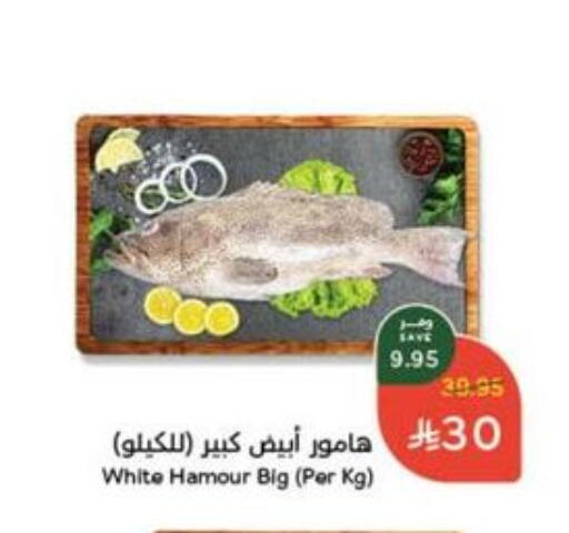 available at Hyper Panda in KSA, Saudi Arabia, Saudi - Khamis Mushait