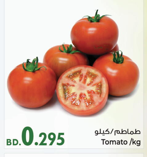 Tomato from Bahrain available at Bahrain Pride in Bahrain