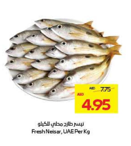 available at أدكووب in الإمارات العربية المتحدة , الامارات - ٱلْعَيْن‎