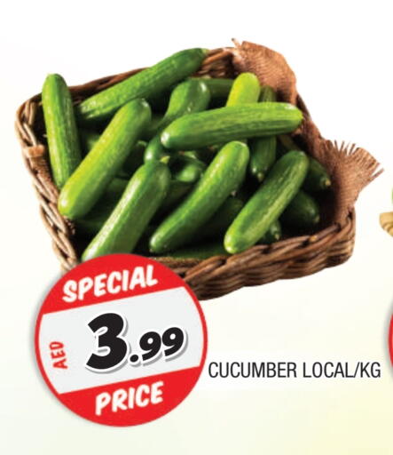 خيار available at المدينة in الإمارات العربية المتحدة , الامارات - الشارقة / عجمان