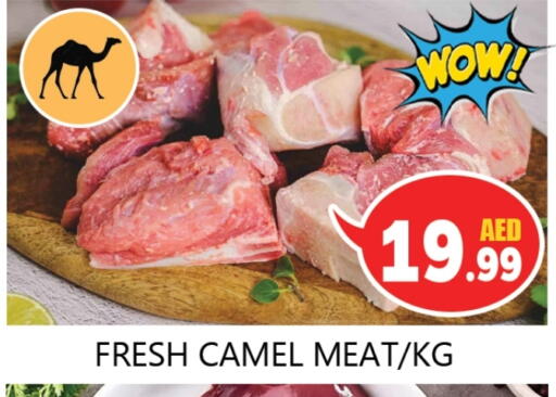 لحم حاشي available at سوق المبارك هايبرماركت in الإمارات العربية المتحدة , الامارات - الشارقة / عجمان
