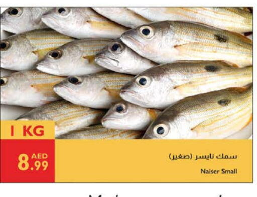 available at Istanbul Supermarket in UAE - Abu Dhabi