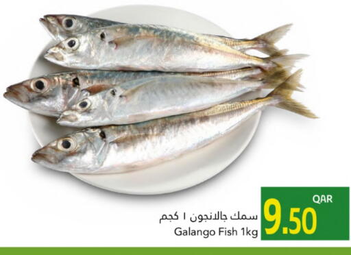 available at Gulf Food Center in Qatar - Al Rayyan