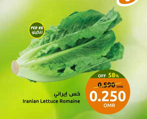 Lettuce from Iran available at Sultan Center  in Oman - Sohar