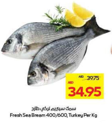 available at أدكووب in الإمارات العربية المتحدة , الامارات - ٱلْعَيْن‎