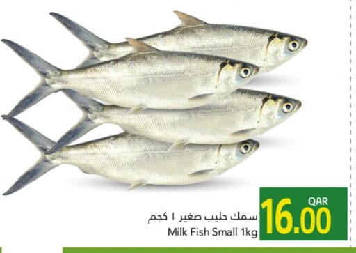 available at Gulf Food Center in Qatar - Al Rayyan