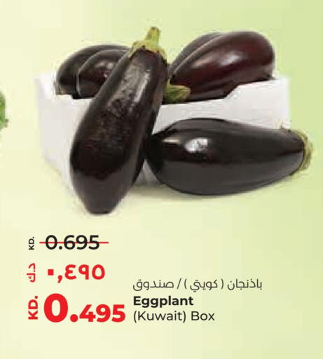 Eggplant from Kuwait available at Lulu Hypermarket  in Kuwait - Jahra Governorate