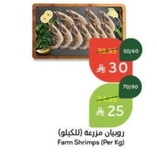 available at Hyper Panda in KSA, Saudi Arabia, Saudi - Khamis Mushait