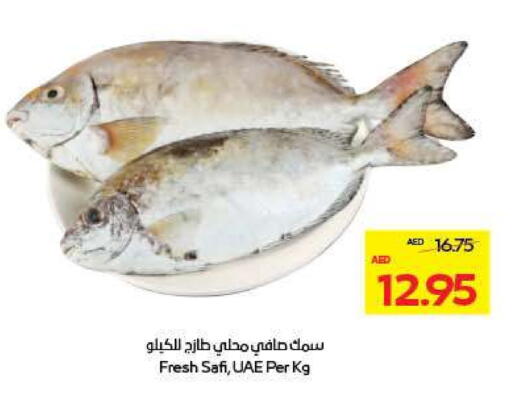 available at أدكووب in الإمارات العربية المتحدة , الامارات - ٱلْعَيْن‎