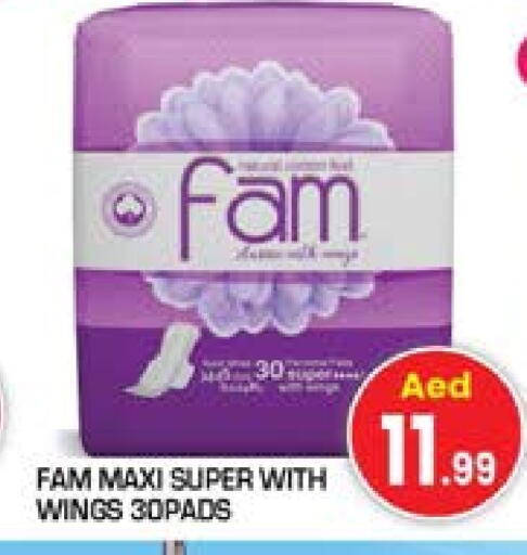 Feminine Hygiene in Baniyas Spike , UAE Offers - United Arab Emirates FAM available at Baniyas Spike in UAE - Umm al Quwain