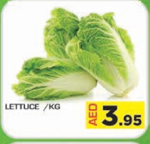 Fresh Vegetables in Baniyas Spike , UAE Offers - United Arab Emirates Lettuce available at Baniyas Spike in UAE - Umm al Quwain