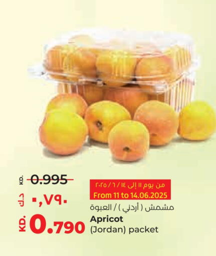 Apricot from Jordan available at Lulu Hypermarket  in Kuwait - Jahra Governorate