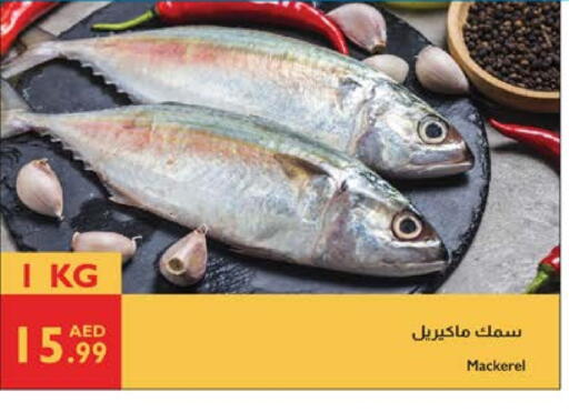 available at Istanbul Supermarket in UAE - Abu Dhabi