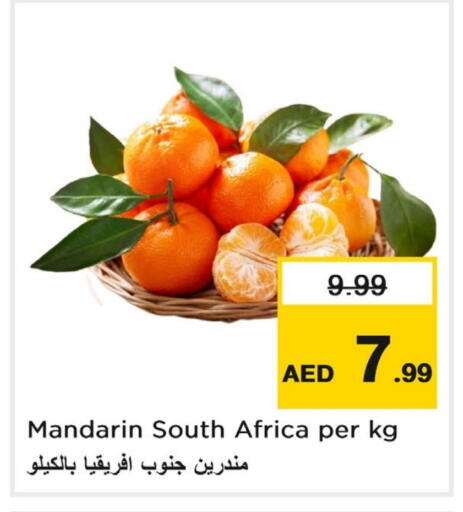 برتقال from South Africa available at لاست تشانس in الإمارات العربية المتحدة , الامارات - ٱلْفُجَيْرَة‎
