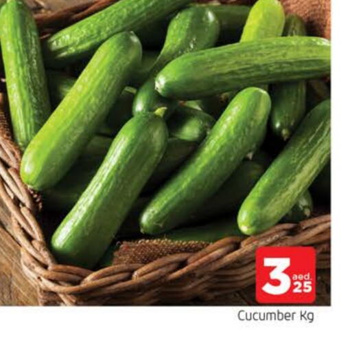 خيار available at المدينة in الإمارات العربية المتحدة , الامارات - الشارقة / عجمان