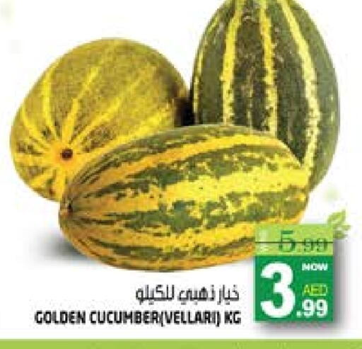 خيار available at هاشم هايبرماركت in الإمارات العربية المتحدة , الامارات - الشارقة / عجمان