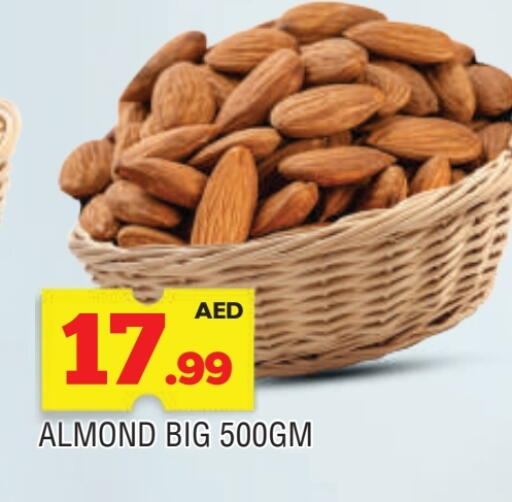 available at AL MADINA in UAE - Sharjah / Ajman
