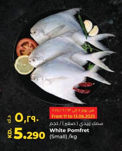 available at Lulu Hypermarket  in Kuwait - Jahra Governorate