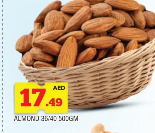 available at AL MADINA in UAE - Sharjah / Ajman