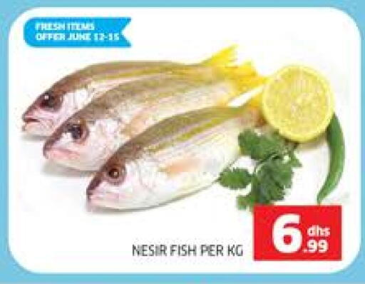 available at Seven Emirates Supermarket in UAE - Abu Dhabi