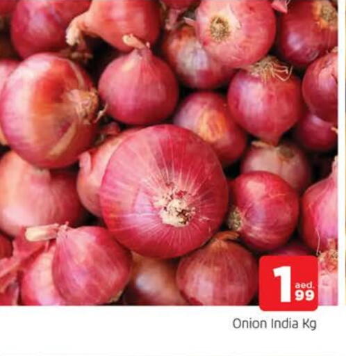 بصل from India available at المدينة in الإمارات العربية المتحدة , الامارات - الشارقة / عجمان