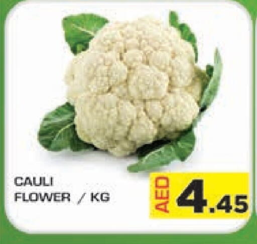 Fresh Vegetables in Baniyas Spike , UAE Offers - United Arab Emirates available at Baniyas Spike in UAE - Umm al Quwain