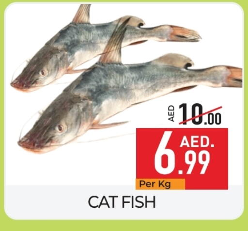 available at Delice Supermarket in UAE - Abu Dhabi