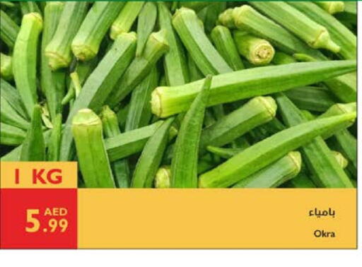 Fresh Vegetables in Istanbul Supermarket, UAE Offers - United Arab Emirates Okra available at Istanbul Supermarket in UAE - Ras al Khaimah