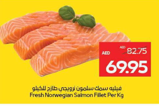 available at ADCOOP in UAE - Abu Dhabi