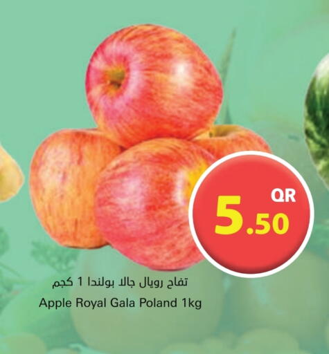 تفاح from Poland available at احلى مارت in قطر - الشمال