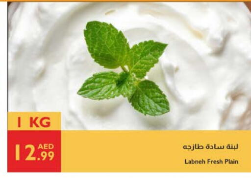 لبنة available at إسطنبول سوبرماركت in الإمارات العربية المتحدة , الامارات - أبو ظبي