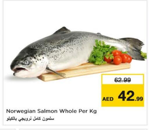 الأسماك الطازجة in نستو هايبرماركت, UAE Offers - الإمارات العربية المتحدة available at نستو هايبرماركت in الإمارات العربية المتحدة , الامارات - دبي