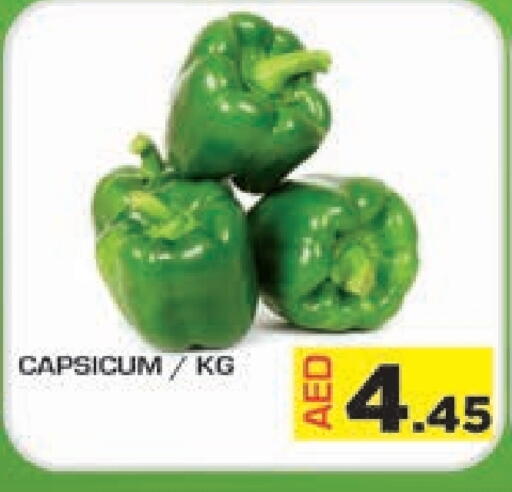Fresh Vegetables in Baniyas Spike , UAE Offers - United Arab Emirates Chilli / Capsicum available at Baniyas Spike in UAE - Umm al Quwain
