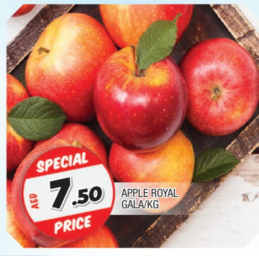 Apples available at AL MADINA in UAE - Sharjah / Ajman