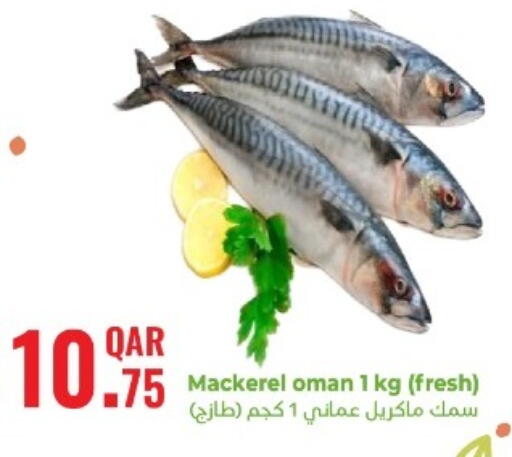 available at Rambo Mart in Qatar - Al Wakra