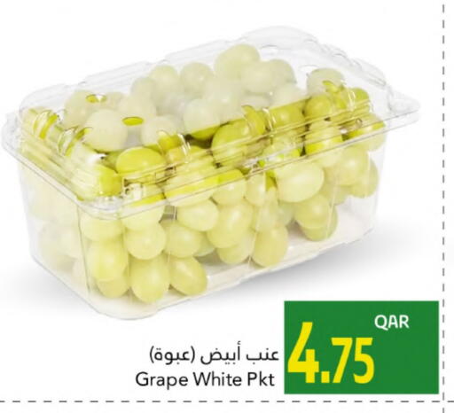 available at جلف فود سنتر in قطر - الدوحة