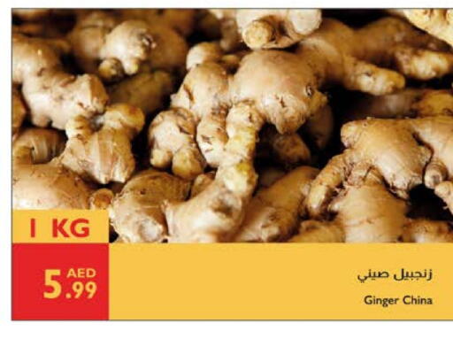 Fresh Vegetables in Istanbul Supermarket, UAE Offers - United Arab Emirates Ginger from China available at Istanbul Supermarket in UAE - Ras al Khaimah