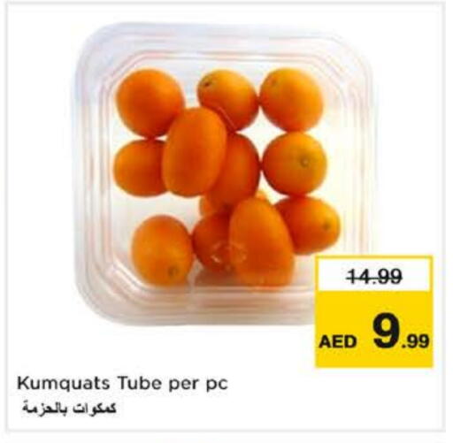 available at نستو هايبرماركت in الإمارات العربية المتحدة , الامارات - ٱلْفُجَيْرَة‎