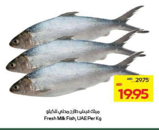 available at ميغا مارت سوبر ماركت in الإمارات العربية المتحدة , الامارات - ٱلْعَيْن‎
